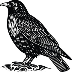 Obraz premium Martin vector silhouette, isolated white background