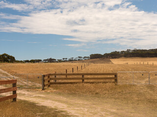 Rural scene in South Australia, Australia during summer with fences and metal gates