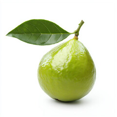 Fresh guava fruit with leaf isolated white background