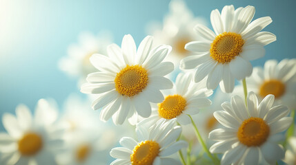 Fototapeta premium close up of cluster of wild daisies swaying gently in breeze, showcasing their vibrant white petals and bright yellow centers, creating serene and cheerful atmosphere