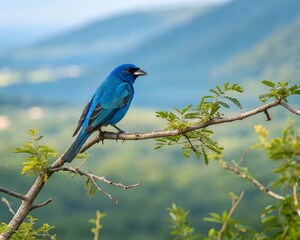 Fototapeta premium a realistic photo blue bird background.