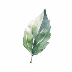 Watercolor Illustration of a Green Leaf, Delicate watercolor painting of a single green leaf with soft gradients and natural details, ideal for botanical and artistic designs.

