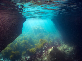 ヒリゾ浜の水中洞窟の美しい半水面撮影
青の洞窟

静岡県伊豆半島賀茂郡南伊豆町中木ヒリゾ浜2024年
