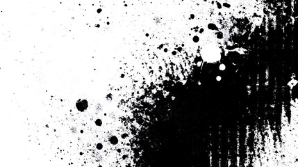 Obraz premium Black ink splatters on white.