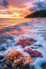 Fototapeta premium Corals on Beach at Sunset