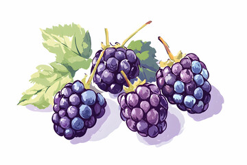 Fototapeta premium Fresh and Juicy Blackberries with Green Leaves on a White Background for Healthy Eating Concepts