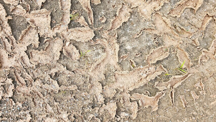 A close-up image of cracked and dry earth, a stark reminder of drought and the fragility of our environment.	