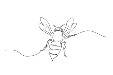 Honey bee continuous one line drawing. Honeybee insect single line art illustration. Editable vector.