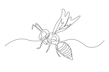 Honey bee continuous one line drawing. Honeybee insect single line art illustration. Editable vector.