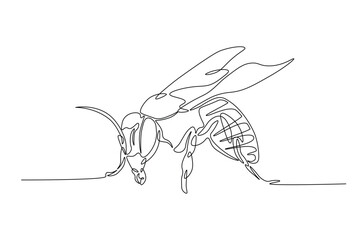 Honey bee continuous one line drawing. Honeybee insect single line art illustration. Editable vector.