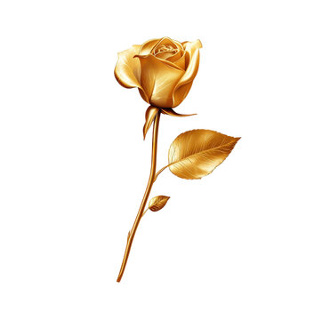 golden rose with leaves, elegant and beautiful design