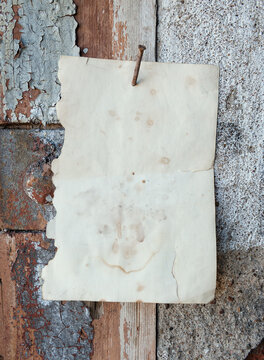 Old vintage paper advertisement hanging on aged wall nailed by rusty doornail