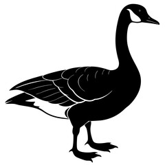 Canada Goose Silhouette vector illustration