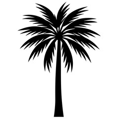 palm tree silhouette