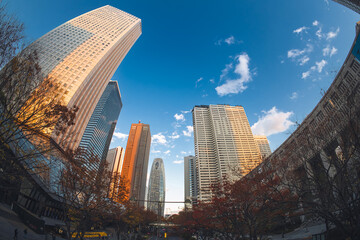 【魚眼】2024年　秋　大都会高層ビルと街並みの夕方　摩天楼の風景【紅葉】