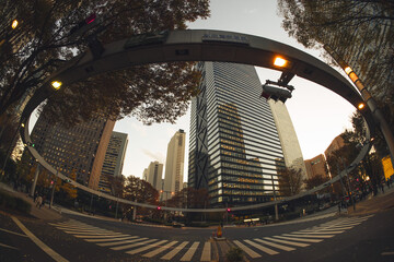 【魚眼】2024年　秋　大都会高層ビルと街並みの夕方　摩天楼の風景【紅葉】