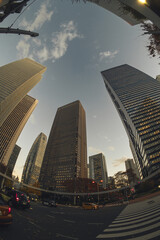 【魚眼】2024年　秋　大都会高層ビルと街並みの夕方　摩天楼の風景【紅葉】