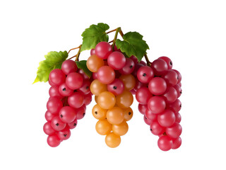 Fototapeta premium Pile of grapes varieties. Fresh grapes on PNG transparent background. Grapes fruit 