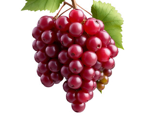 Fototapeta premium Pile of grapes varieties. Fresh grapes on PNG transparent background. Grapes fruit 