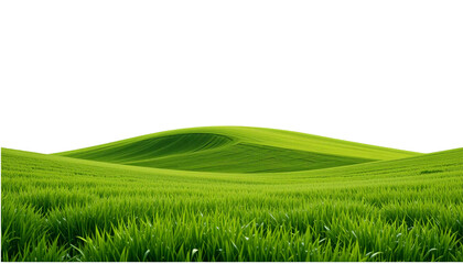 Green grassland isolated on white background. Suitable for marketing or business purposes. PNG file