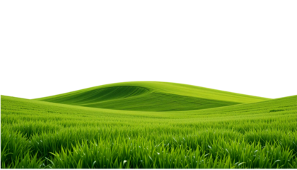 Green grassland isolated on white background. Suitable for marketing or business purposes. PNG file