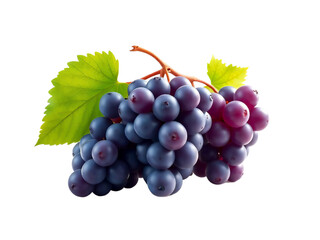 Pile of grapes varieties. Fresh grapes on PNG transparent background. Grapes fruit 