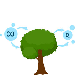 CO2 Emissions Illustration
