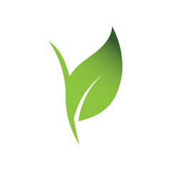 Green Leaf Logo Grapich Images 