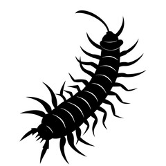 Centipede Silhouette vector illustration