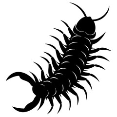 Centipede Silhouette vector illustration