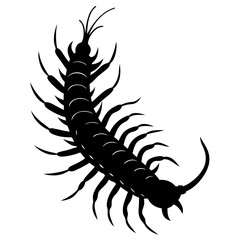 Centipede Silhouette vector illustration
