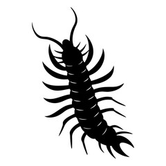 Centipede Silhouette vector illustration