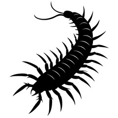 Centipede Silhouette vector illustration