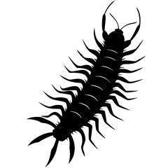 Centipede Silhouette vector illustration