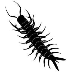 Centipede Silhouette vector illustration