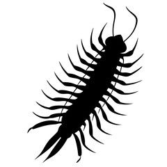Centipede Silhouette vector illustration
