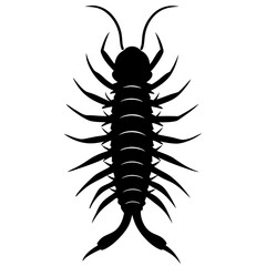 Centipede Silhouette vector illustration