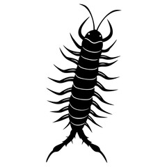 Centipede Silhouette vector illustration