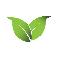 Green Leaf Logo Grapich Images 