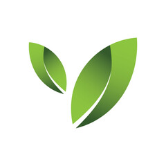 Green Leaf Logo Grapich Images 