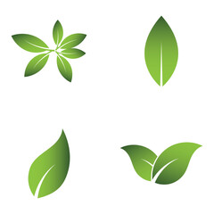 Green Leaf Set Logo Grapich Images