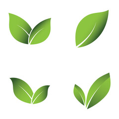 Green Leaf Set Logo Grapich Images