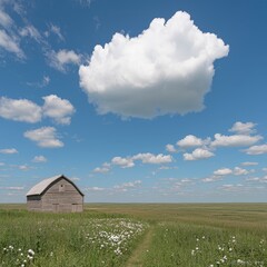 Obraz premium Rustic Wooden Barn in Summer Field Blue Sky Clouds