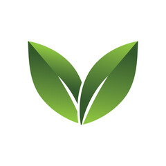 Green Leaf Logo Grapich Images 
