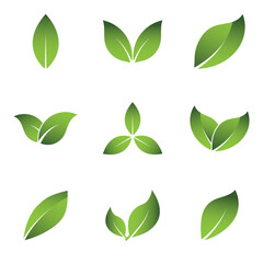 Green Leaf Set Logo Grapich Images