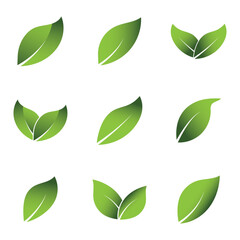 Green Leaf Set Logo Grapich Images
