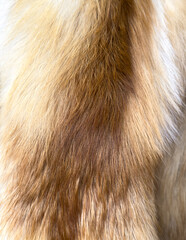 A fur coat with a brown and white stripe
