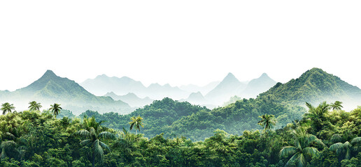 Dense green jungle and distant misty peaks, isolated on transparent cutout background