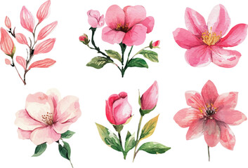 Fototapeta premium pink and white flowers