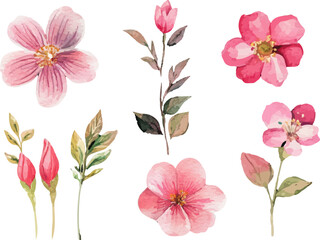 set of pink flowers